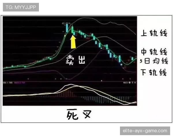 进攻重置规则解析：判定时机、流程与判罚案例